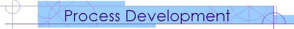 Process Development
